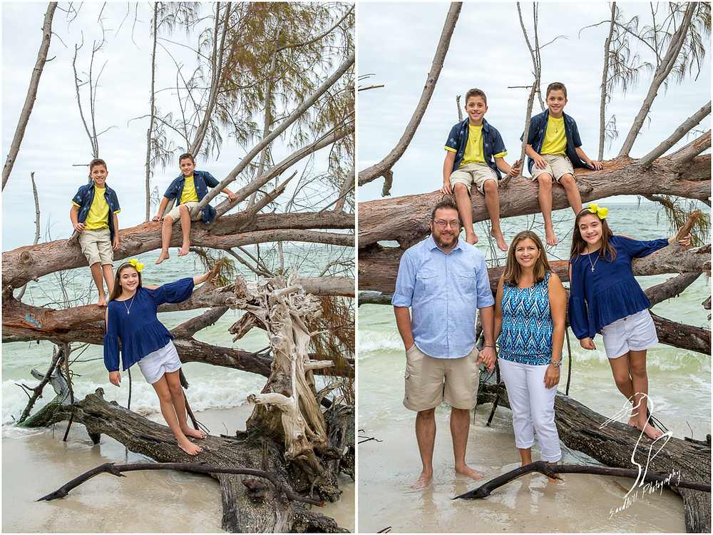 Longboat Key Family Photographer, a family climbs a fallen tree for a portrait at Beer Can Island