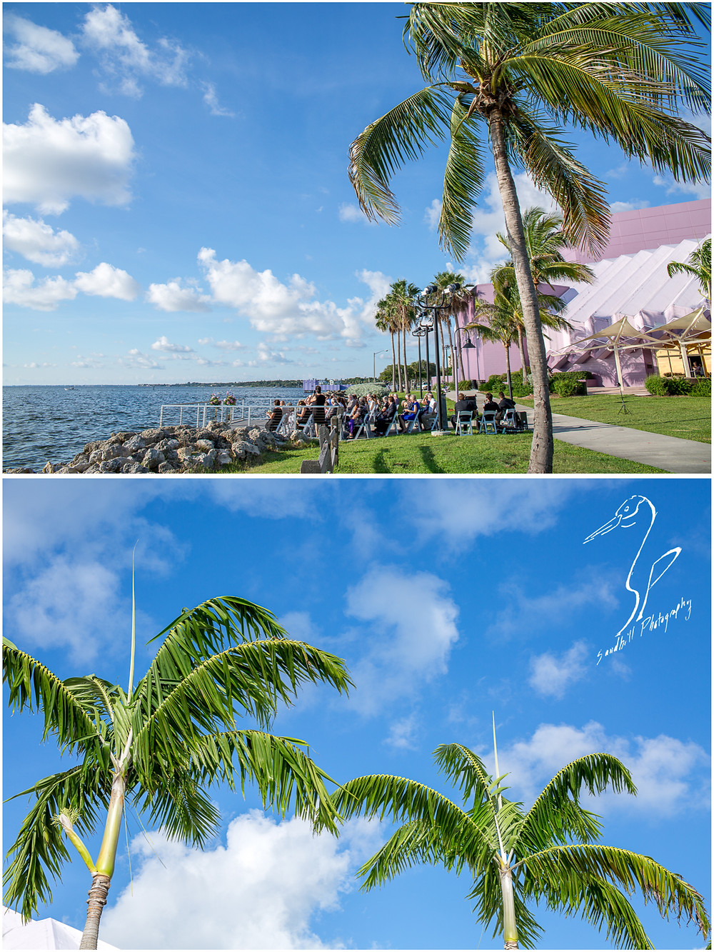 Van Wezel Wedding Photography, detail pictures of ceremony site and palm trees