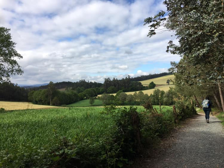 Rolling meadows in shades of green, a sky with fluffy clouds and a lone peregrino with a backpack walking on a path,