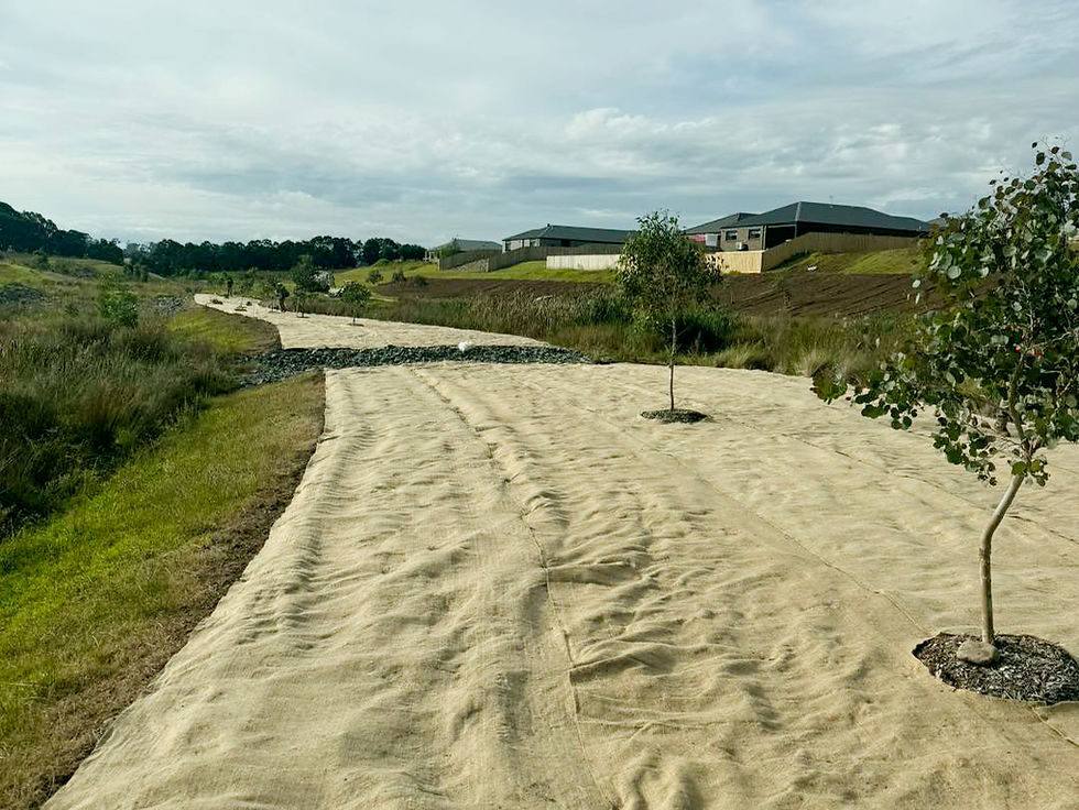 Restoring landscapes, supporting biodiversity and improving long-term environmental outcomes.