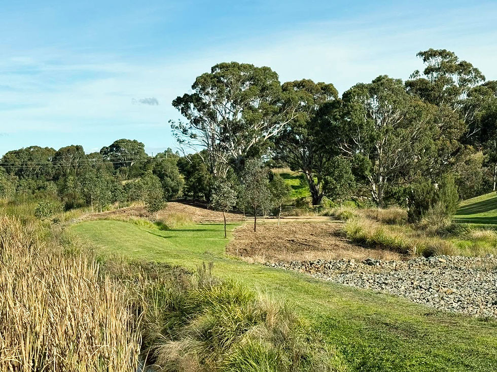 Professional land rehabilitation and revegetation services across Gippsland. Landscape restoration,