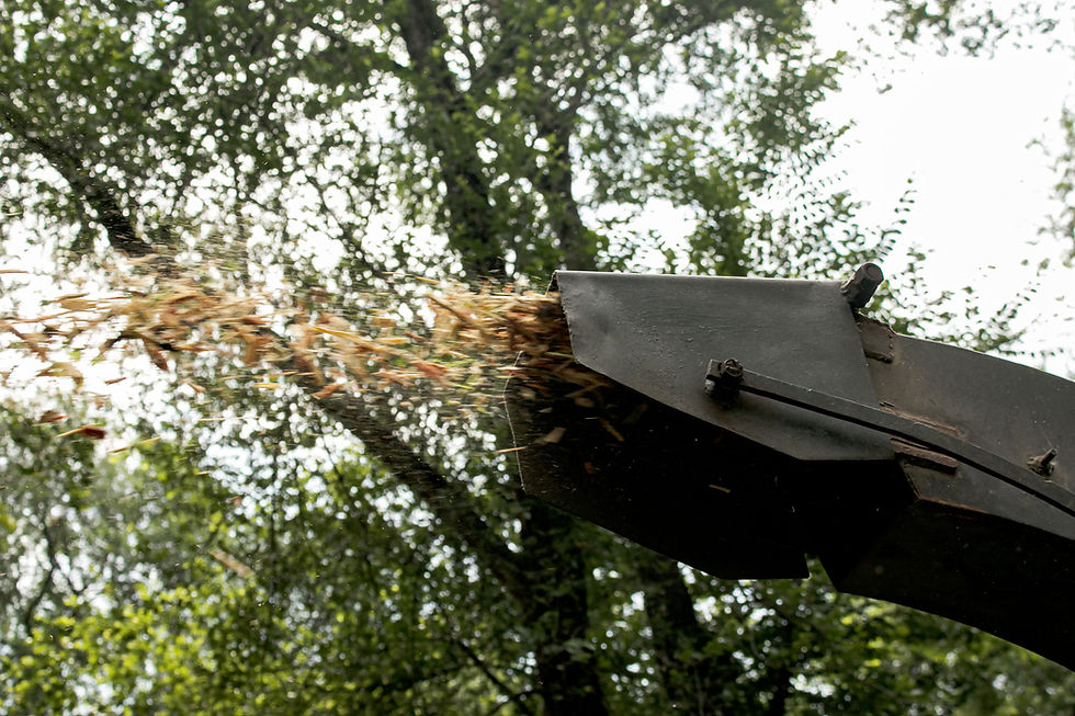 Roots 2 Leaves provides on-site mulching, organic matter recycling and sustainable vegetation reuse solutions