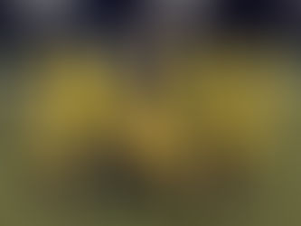 October 24th 2025. Mixed results for the u11 Girls.