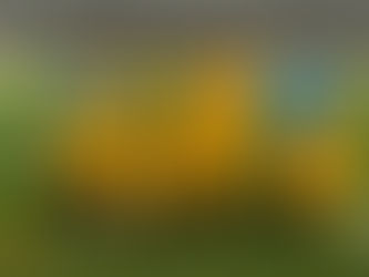 October 28th 2023.Lots of fun for the U10 Boys in Birmingam.