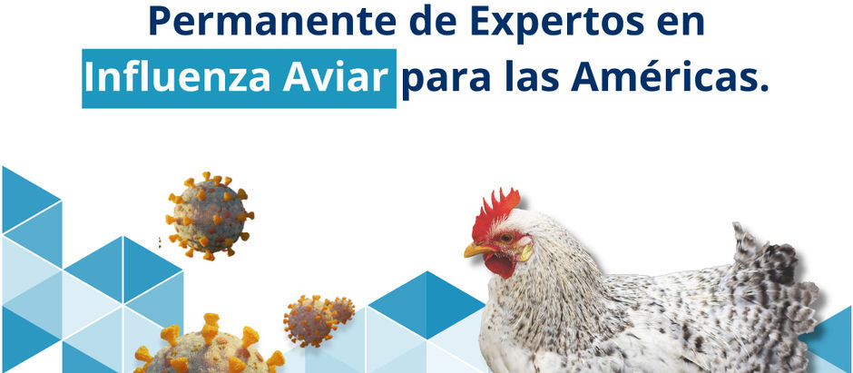 Recomendaciones del Grupo Permanente de Expertos en IA para las Américas 