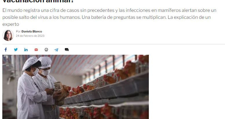 Ante el brote global de gripe aviar, ¿cuál es el rol de la vacunación animal?