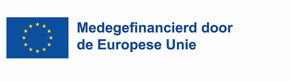 medegefinancierd-door-de-europese-unie embleem