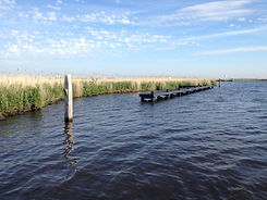 Nature in Friesland