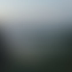 eBook: Beyond the Stay: How Hospitality Brands Become Worlds Guests Want to Belong To