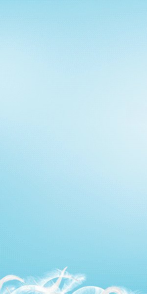 PX30WJ-300x600.gif