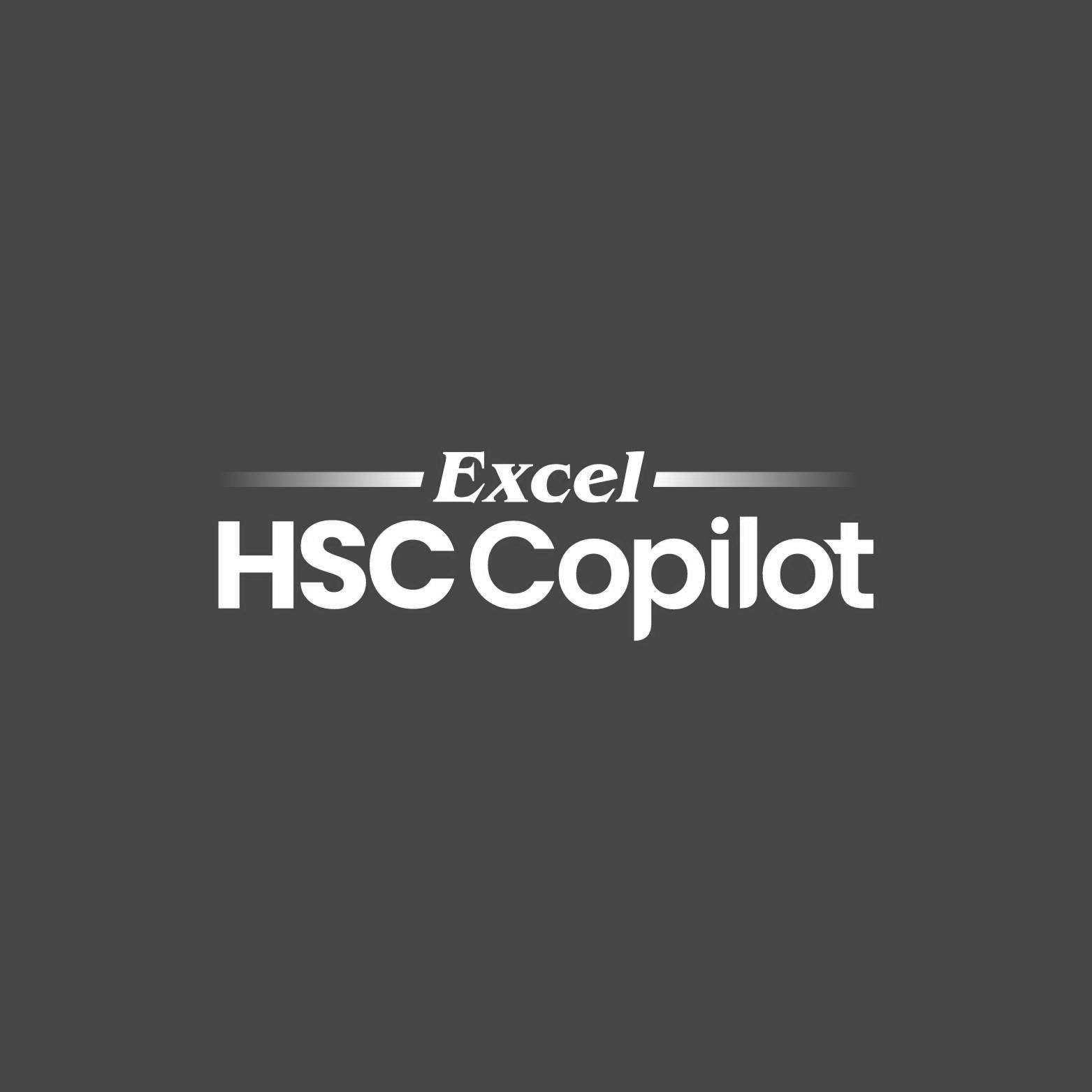 Excel HSC Copilot