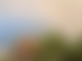 Sunday Worship Bulletin June 30 2024