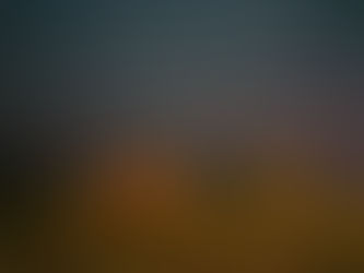 Sunday Worship Bulletin, Oct 20 2024