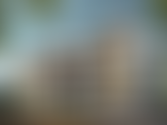 Quality Residential Builders in Paliyekkara, India