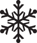 negro del copo de nieve