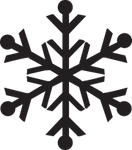 Black Snowflake