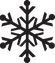 Black Snowflake