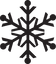 Black Snowflake
