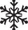 Black Snowflake