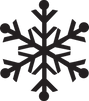 Black Snowflake