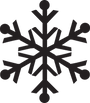Black Snowflake
