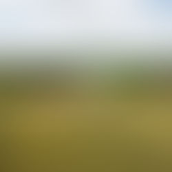 Uttlesford District Council | Photography & Drone