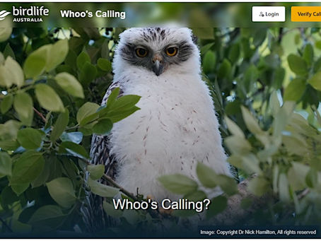 Meeting Highlights - November 2025