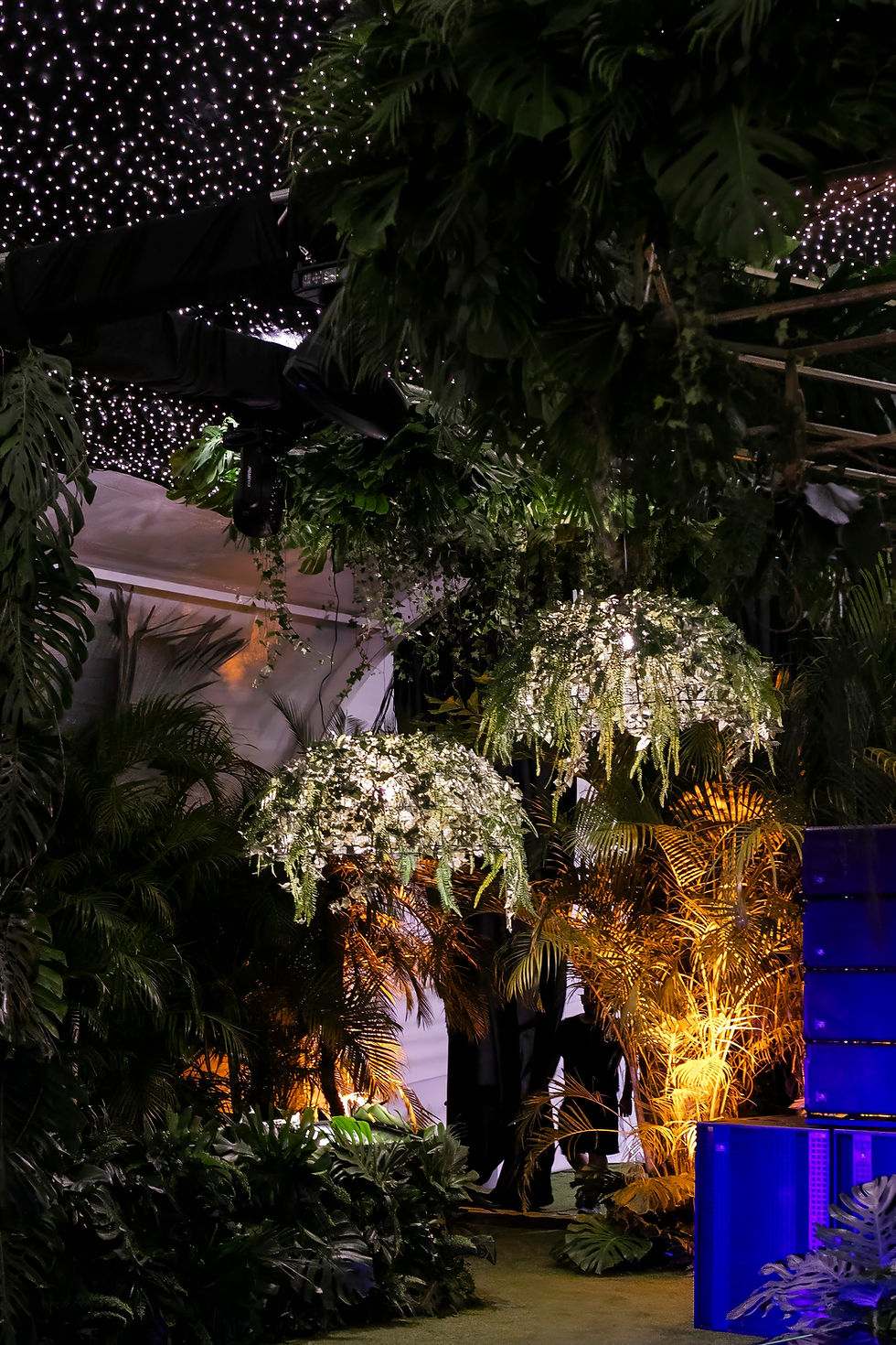 Miniatura: Lámpara Jungle