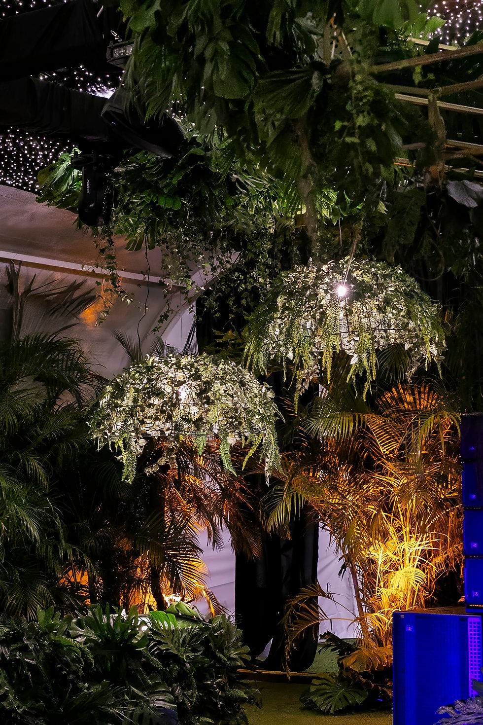 Miniatura: Lámpara Jungle