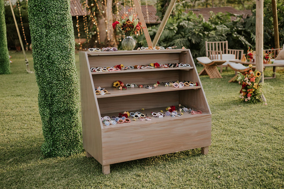 Thumbnail: Silvia Display