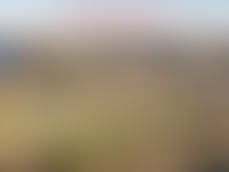 Threat Brief Release #82: Several White House Officials Moving Onto Military Posts