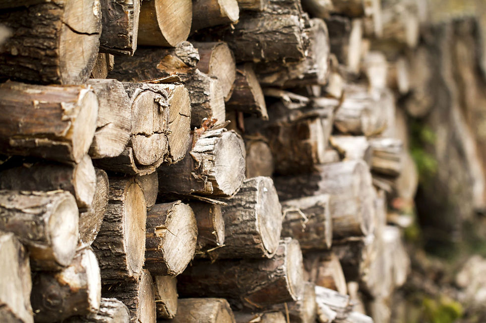 The Ultimate Guide to Choosing the Best Firewood for Your Prepper Retreat