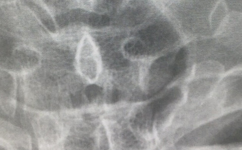FJCU6266.jpg
