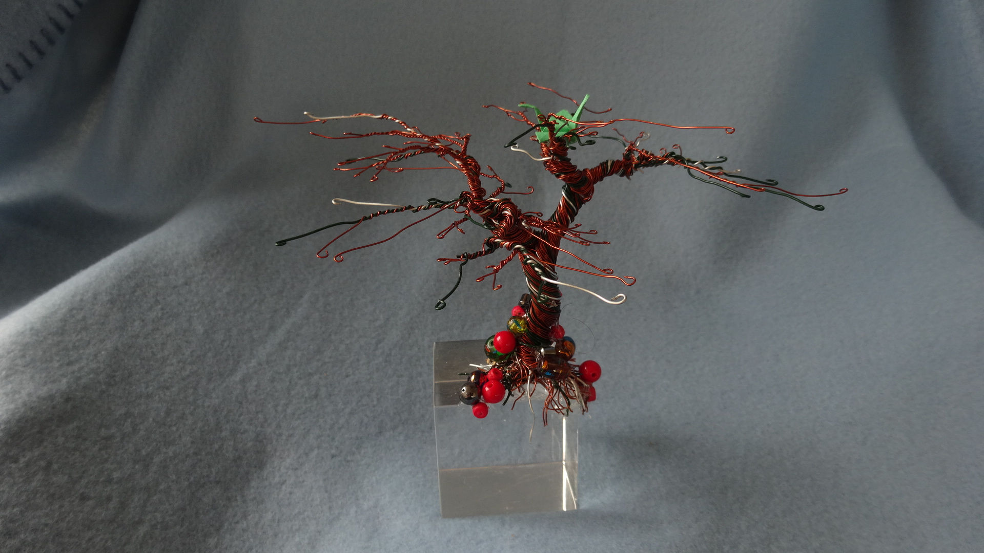 Clear Cube Bonsai Tree