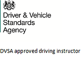 01 DVSA approved driving instructor (1).