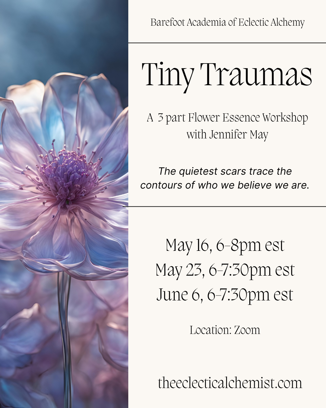 Tiny Traumas Workshop