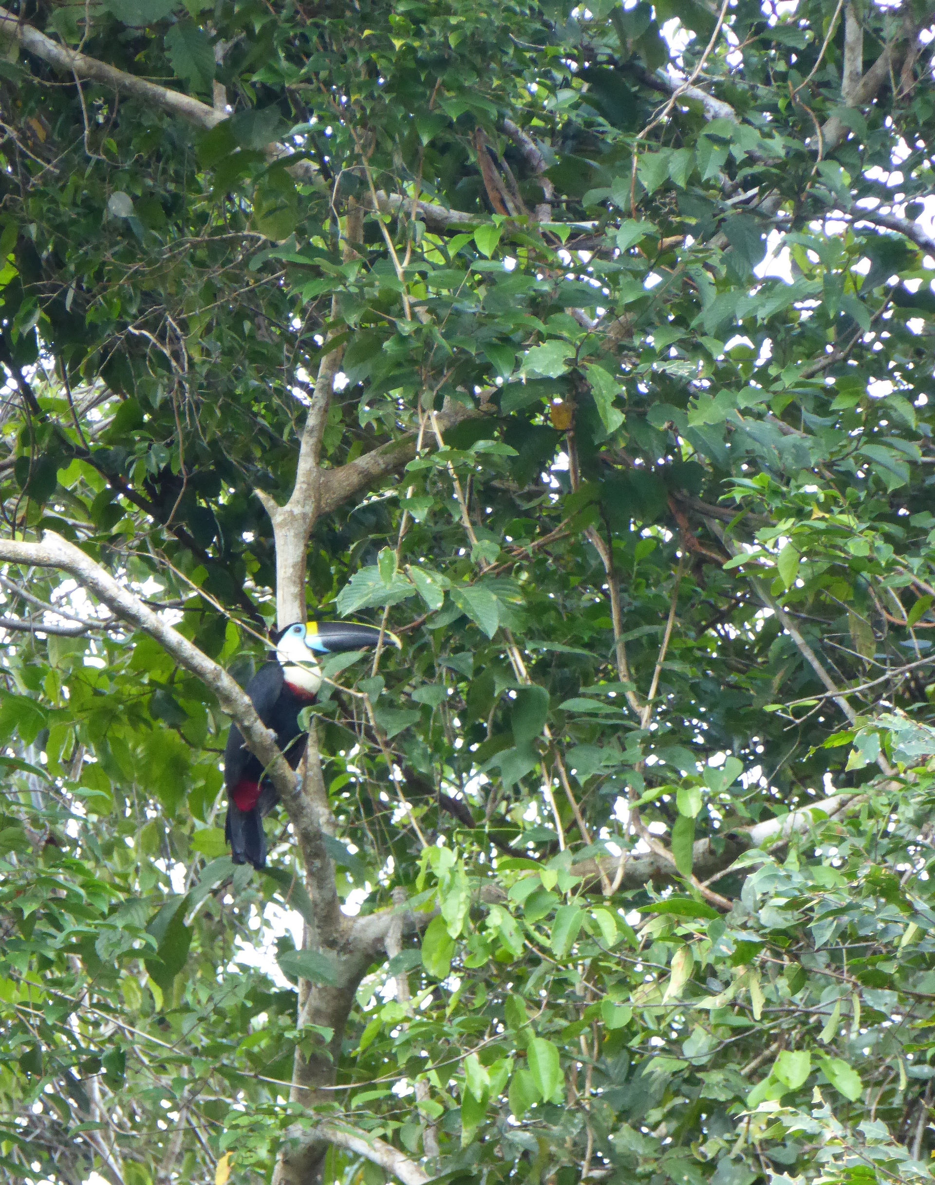 P1030263