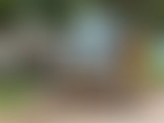 Infraestrutura e Agricultura reforçam campanha Xapuri Contra a Dengue com retirada de entulhos nos bairros