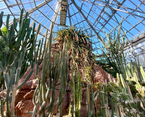 Explore the world at UBE Tokiwa Museum in Tokiwa Park, a botanical garden showcasing eight regions from five continents. It's a must-visit for cactus and succulent enthusiasts. ときわミュージアム Ube Yamaguchi Japan