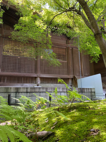 The brightly colored leaves add a touch of coolness to the shrine, creating a serene and vibrant atmosphere. Kotozaka Hachimangu Shrine, 琴崎八幡宮, Ube Yamaguchi Japan
