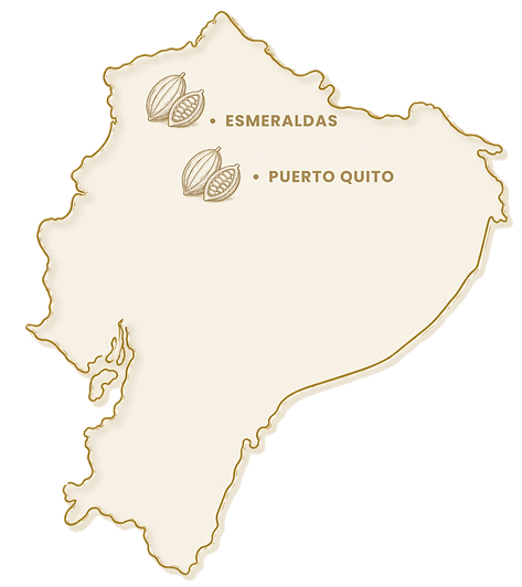 AASD_edited.png