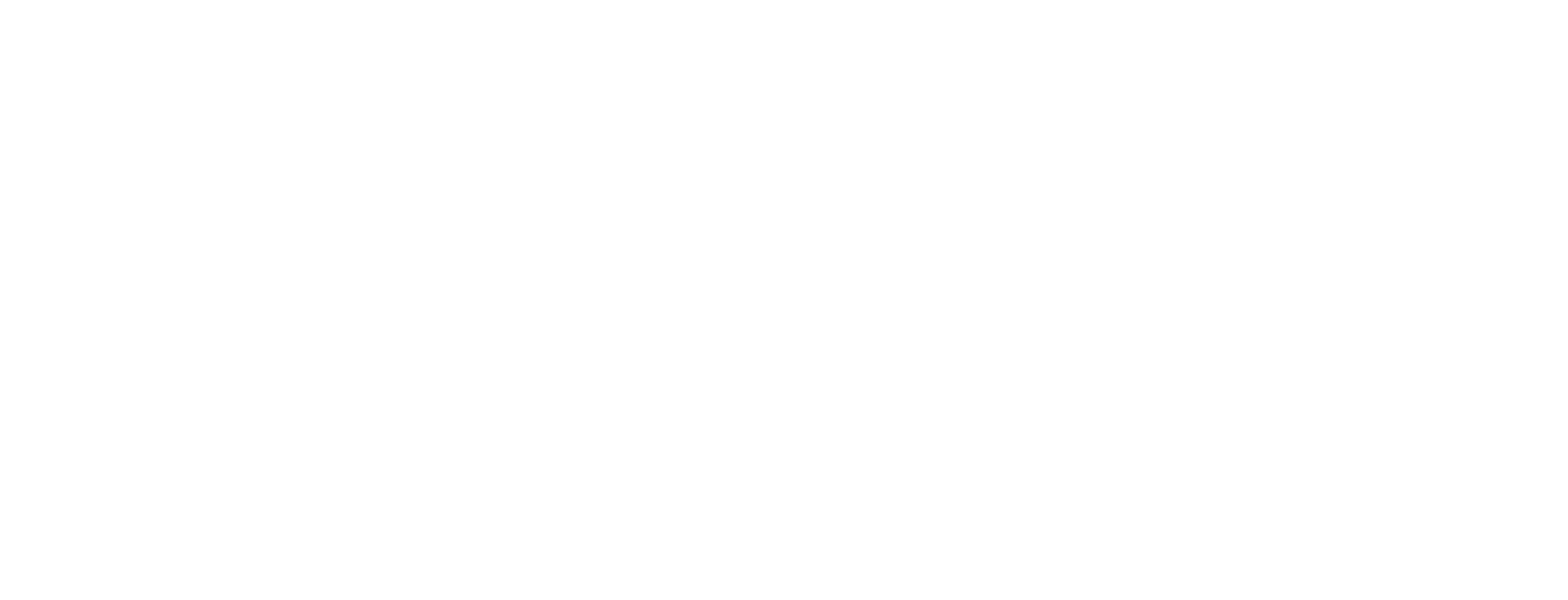 02_Logo_white.png