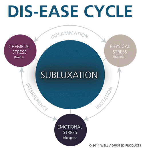 subluxation/well adjusted cycle