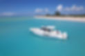 dji_fly_20221222_125102_843_1671744721867_photo.jpg
