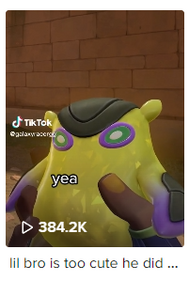 Lil bro 384k TikTok.png