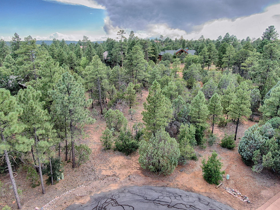 DJI_0263_HDR.jpg
