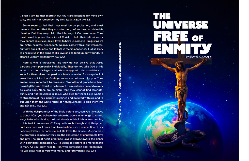 The Universe Free of Enmity Cover
