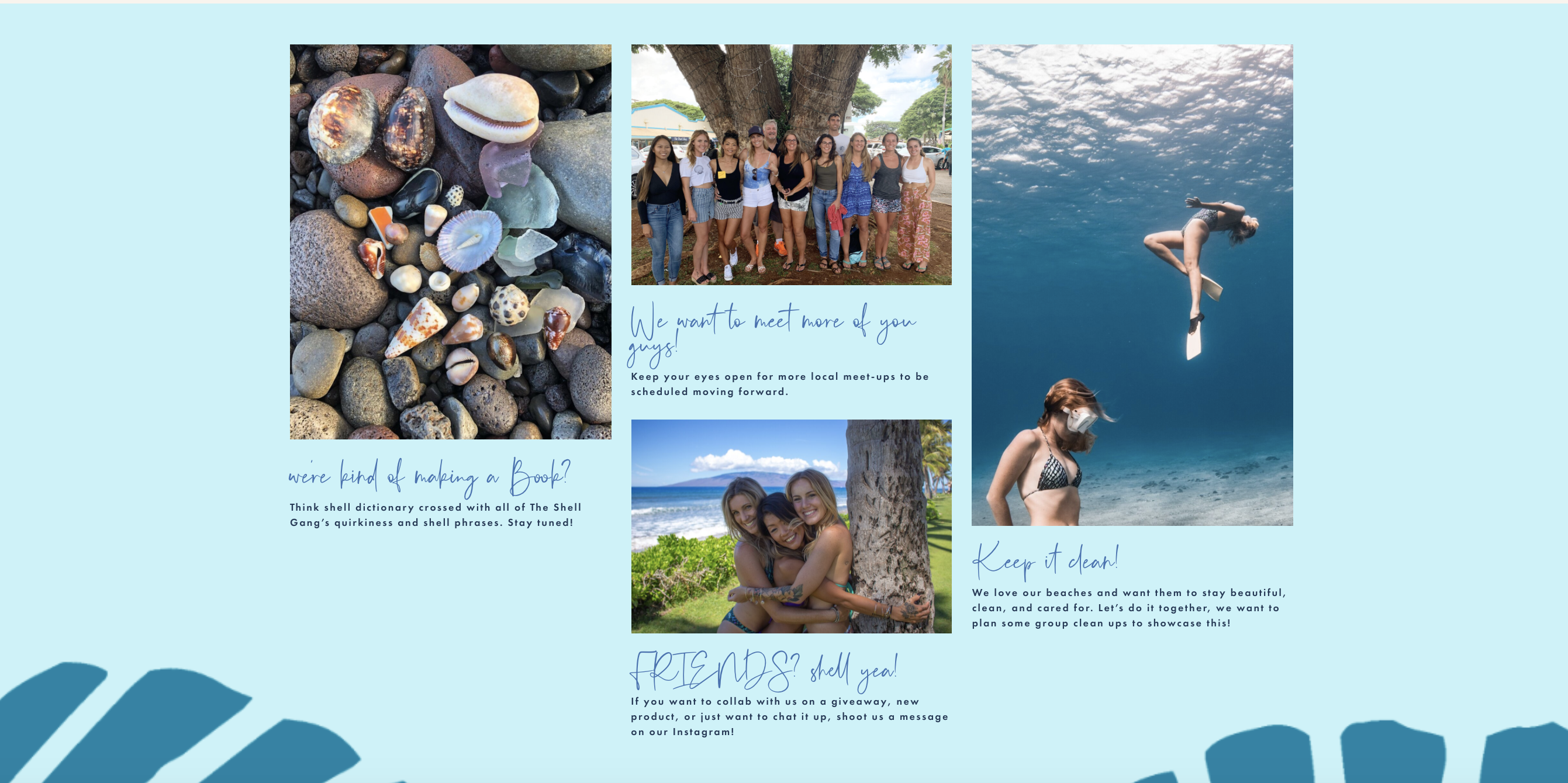 Website Design