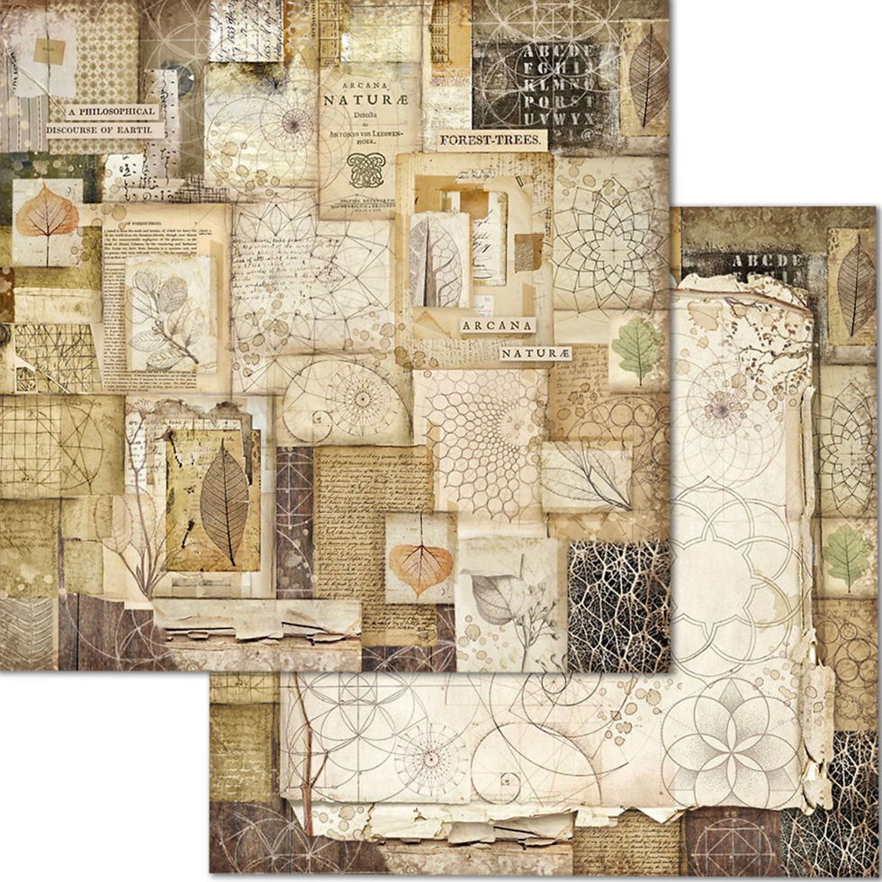 Thumbnail: Forest 8x8 Paper Pack by Stamperia - 10 Double Sided Design Papers