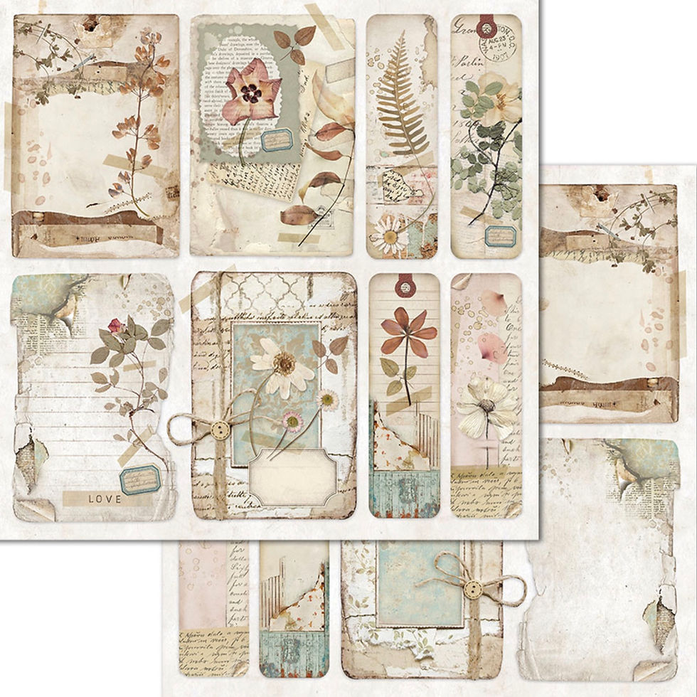 Thumbnail: REDUCED Imagine by Stamperia - 10 - 12x12 Double-Sided Design Papers